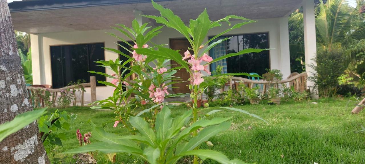 Andnindot Garden Resort Anda  Luaran gambar