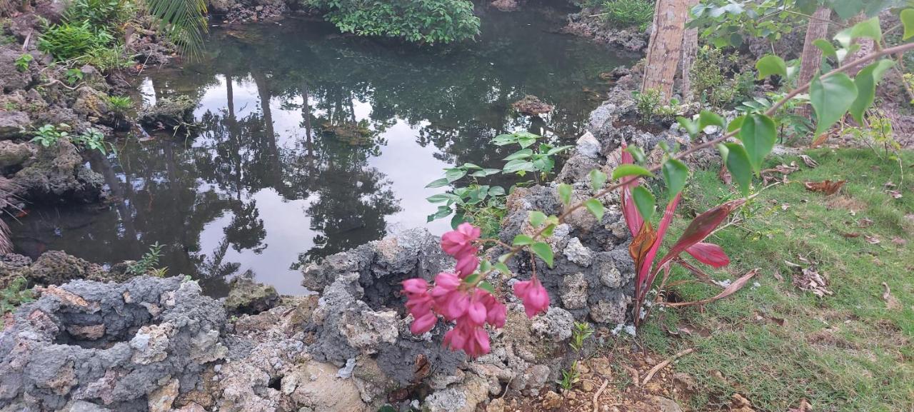 Andnindot Garden Resort Anda  Luaran gambar