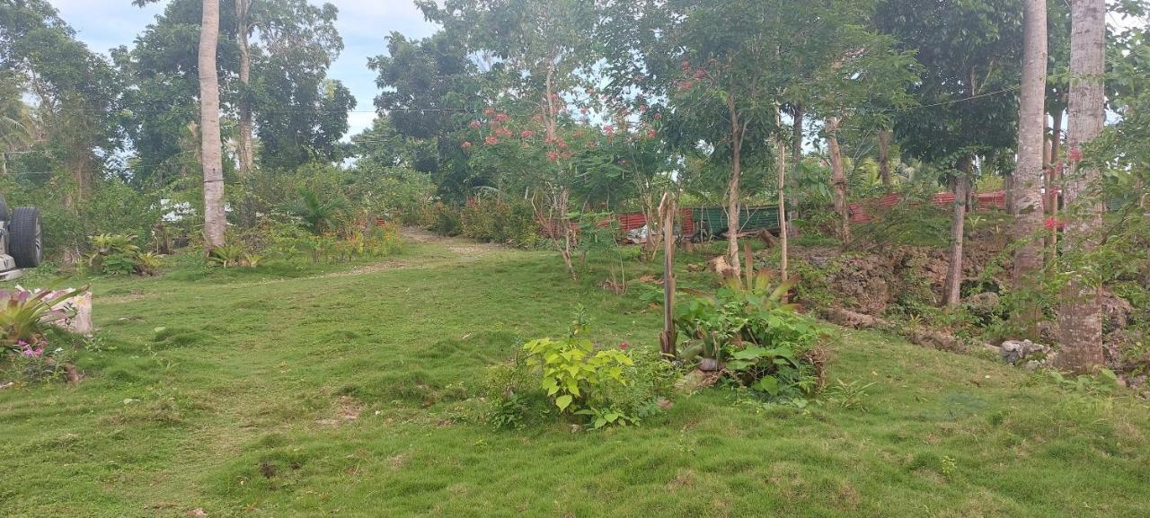 Andnindot Garden Resort Anda  Luaran gambar