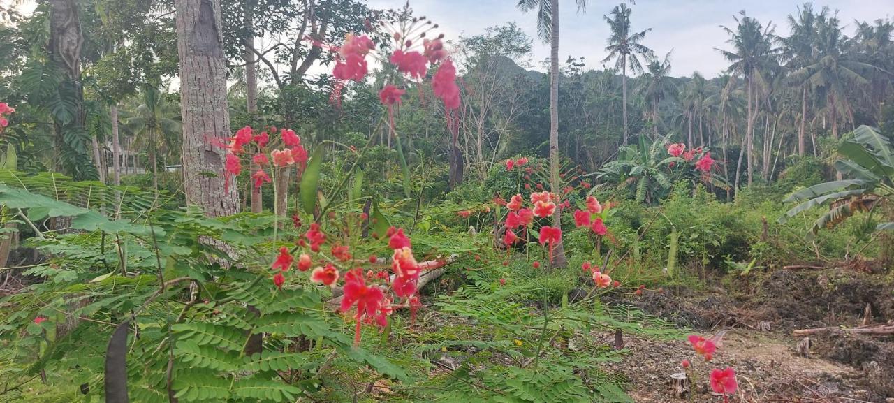 Andnindot Garden Resort Anda  Luaran gambar